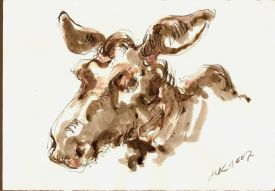 Elk.Voll