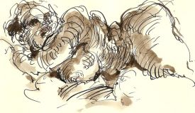 Pummel.Voll